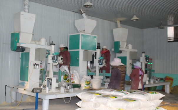 日產30噸玉米午夜久久久久多少錢?點擊在線谘詢，即刻獲取優惠報價